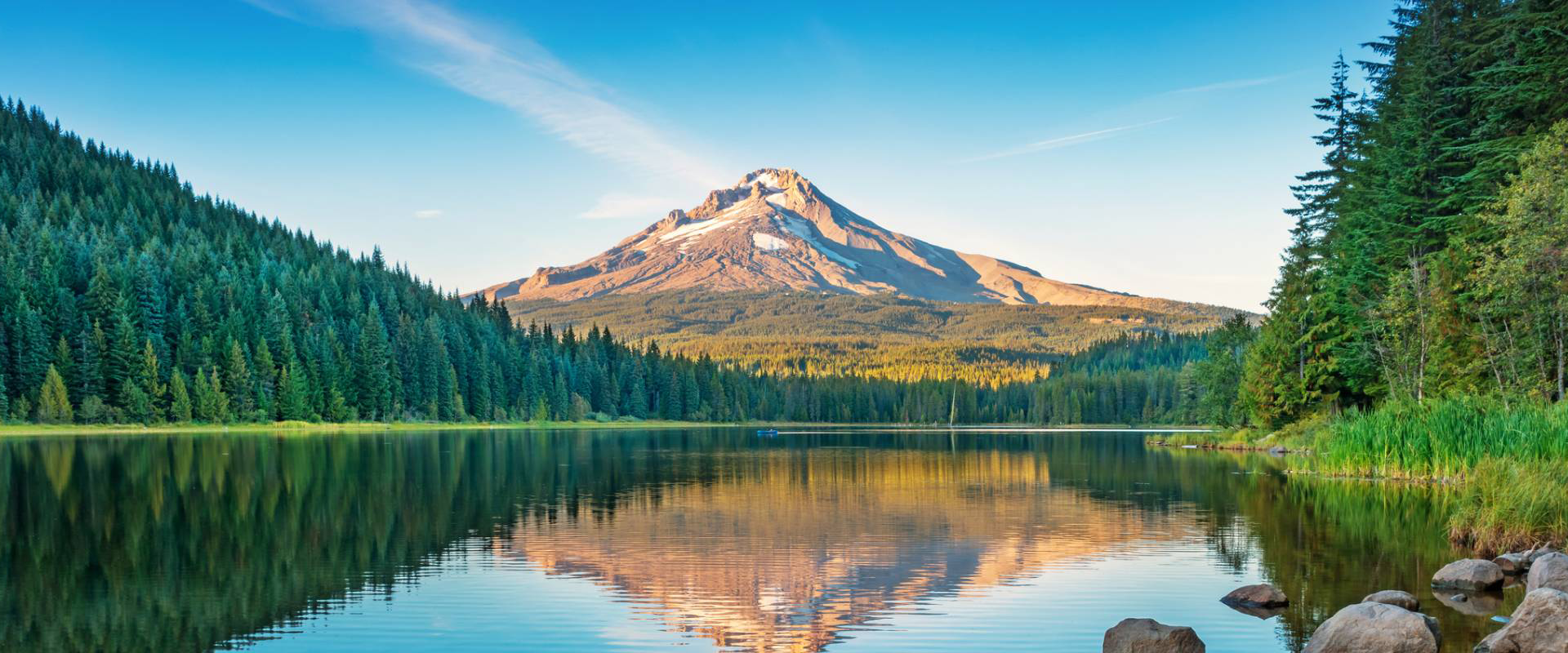 Home Dougall Conradie LLC